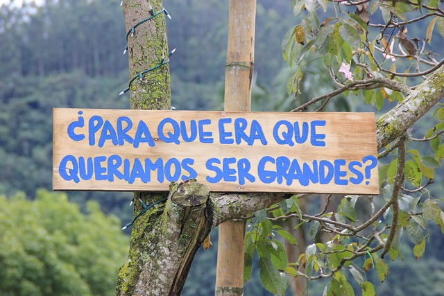 Why Should Businesses Invest in Sustainability Now?